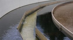 algae wastewater technology